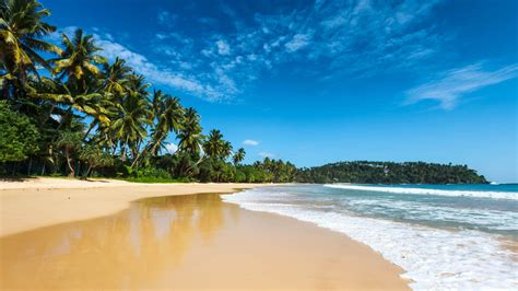 When to Go to Sri Lanka from the UK (Best Time to Visit Sri Lanka)