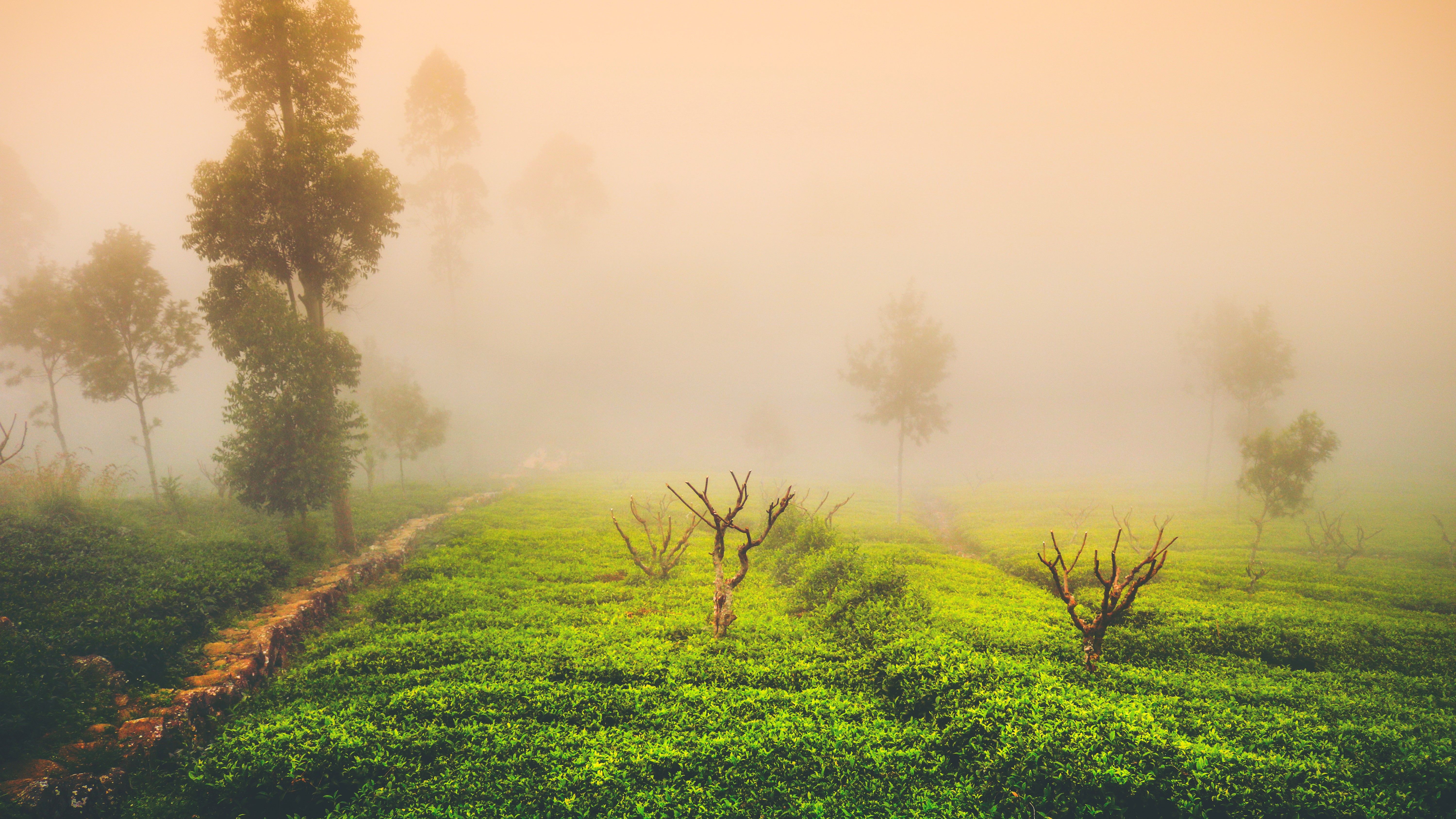 How Sustainable Tourism Can Protect Sri Lanka's Natural Beauty